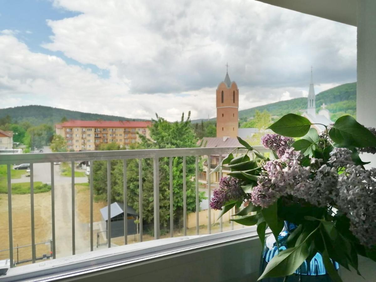 Apartament Gromadzyn 39 Ustrzyki Dolne Eksteriør billede